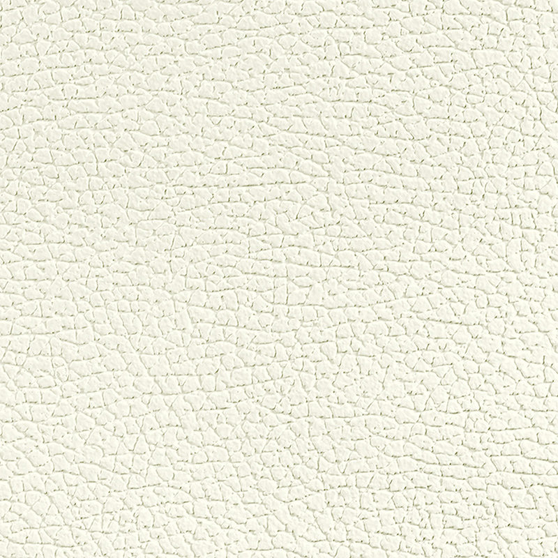 Painéal Uigeacht PZ02 Leather2 - Só Éadrom