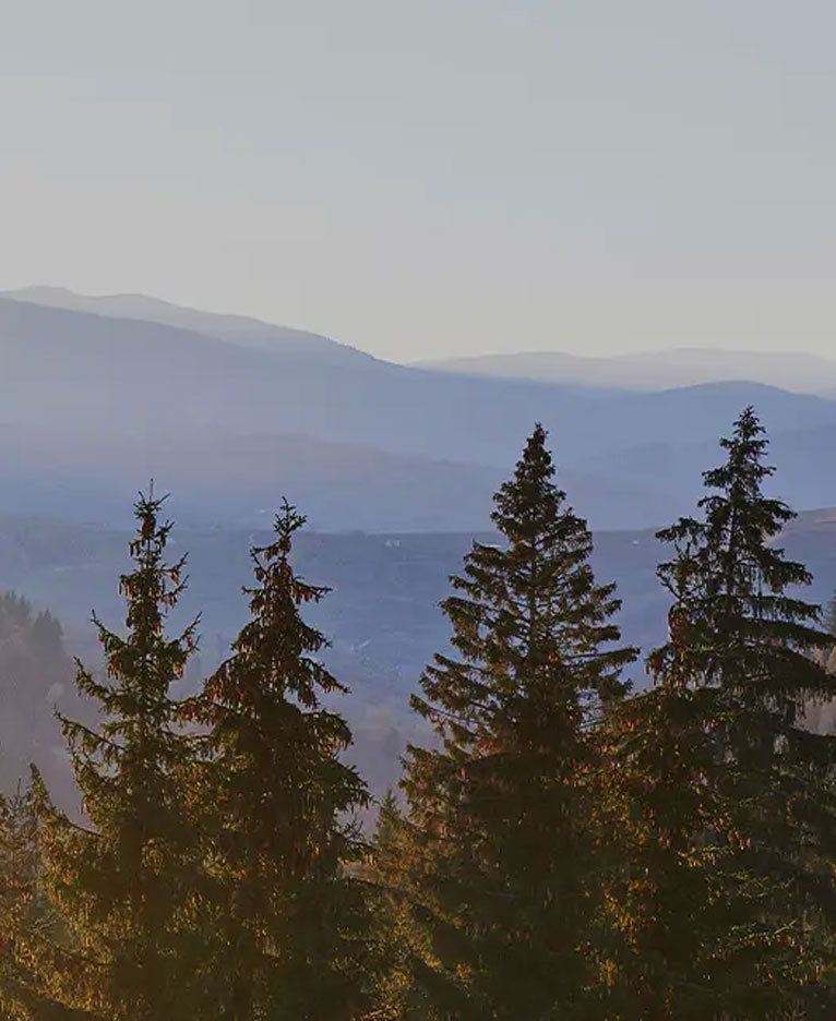 Dearadh Leathar Bord Meilimín